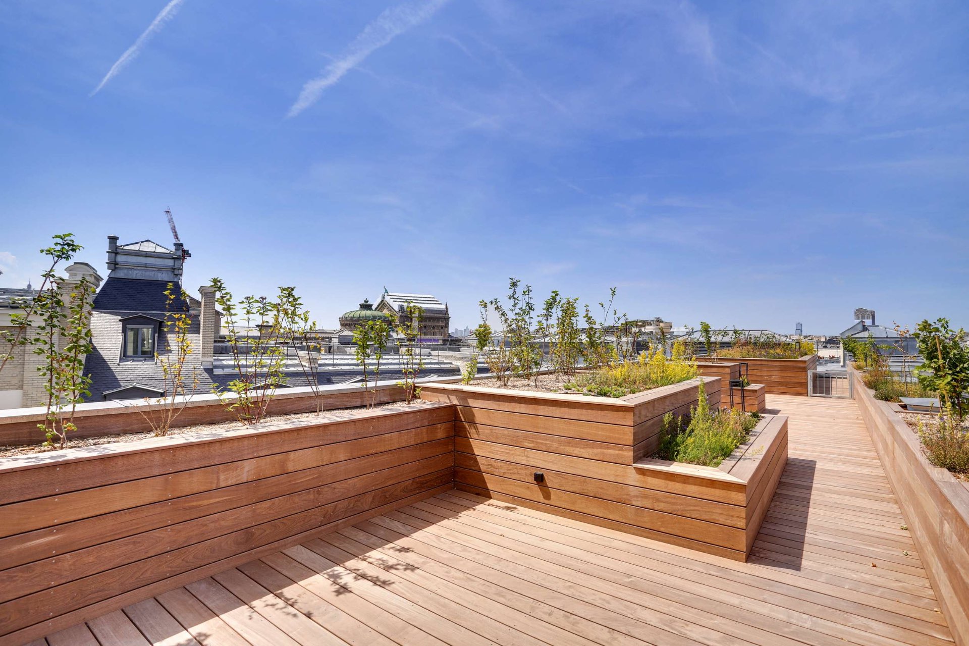 Terrasse paysagère de Sways à la livraison